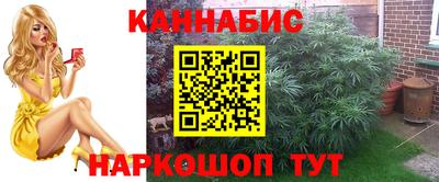 хмурый Тула