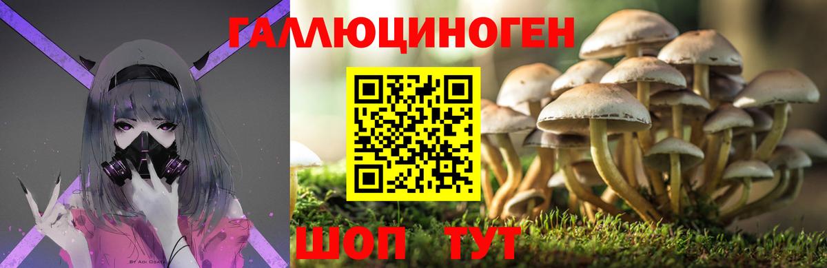Псилоцибиновые грибы Magic Shrooms  Псилоцибиновые грибы Psilocybe  Архангельск  Вход с VPN 